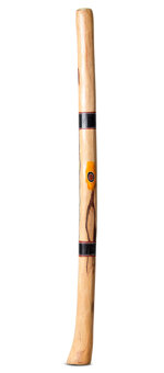 Small John Rotumah Didgeridoo (JW1294)